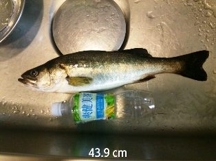 20140615_220500.jpg