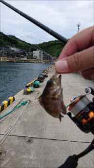 IMG_20160828_132004_R.jpg